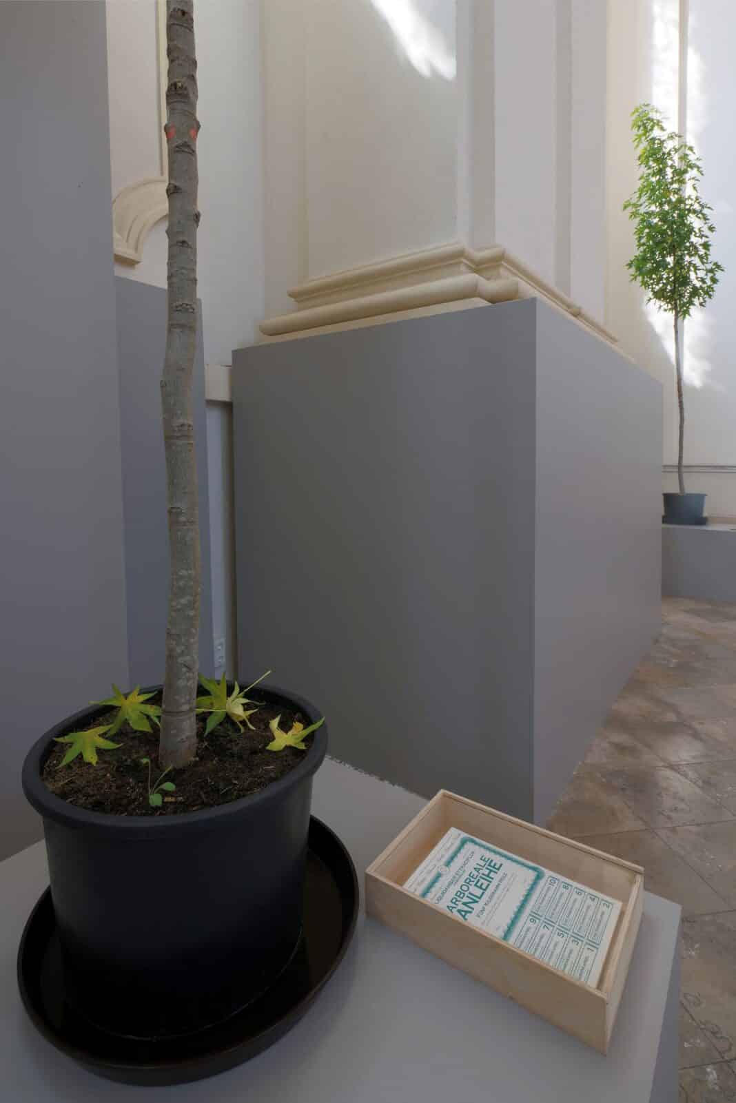 Eine Investition in die Zukunft: Burghausens Bäume geben Anleihen aus Stadt Burghausen: Burghausens Bäume geben Anleihen aus: Weltweit außergewöhnliches Kunstprojekt verbindet Finanzwirtschaft und Naturschutz