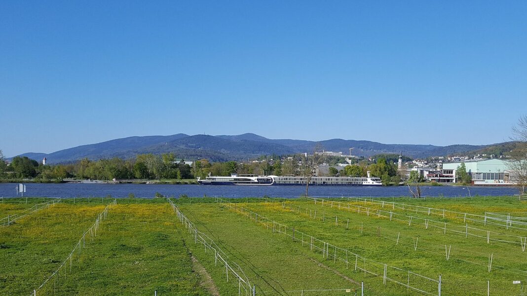 Mainkofen: Vortrag zu Depressionen und Ängsten stößt auf großes Interesse Donau-Wald-Panorama Deggendorf