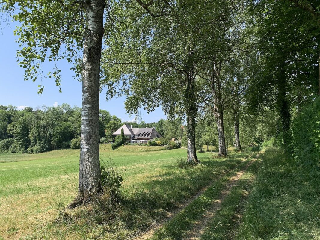 Weilheim: Ausbildungsmesse 2027 findet zum 23. Mal statt Birkenallee mit Blick vom Haarsee auf das Forsthaus Hirschberg