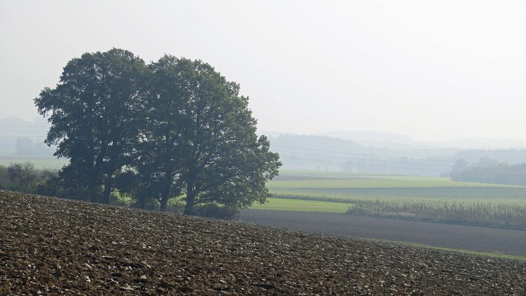 Pfaffenhofen a d Glonn - Bayerzell Ri SO, Glonntal, Herbstmorgen (Pfaffenhofen an der Glonn)