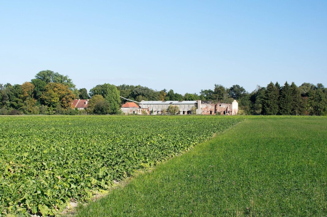 LSG Schmutterwäldchen Asbach Bäumenheim 0ß2 (Asbach-Bäumenheim)