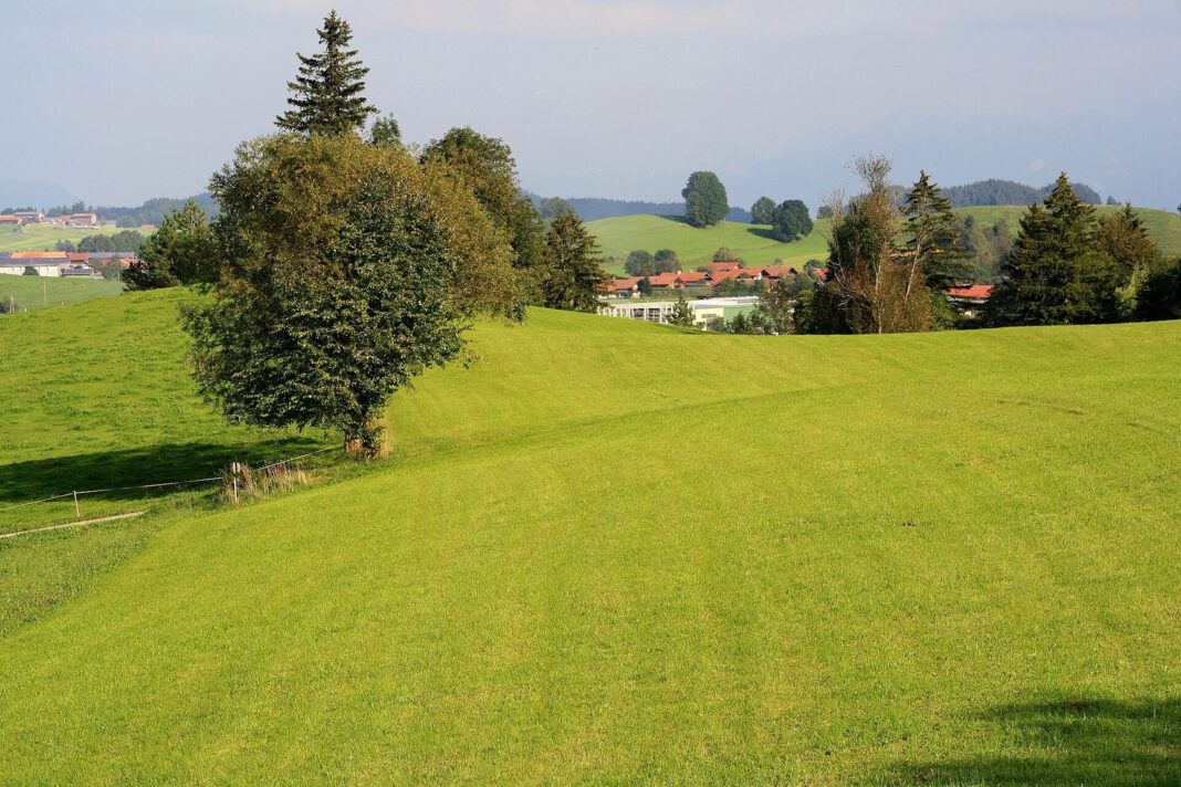 Nesselwang. Blick aus dem Hotel Sonnenbichl... (Nesselwang)