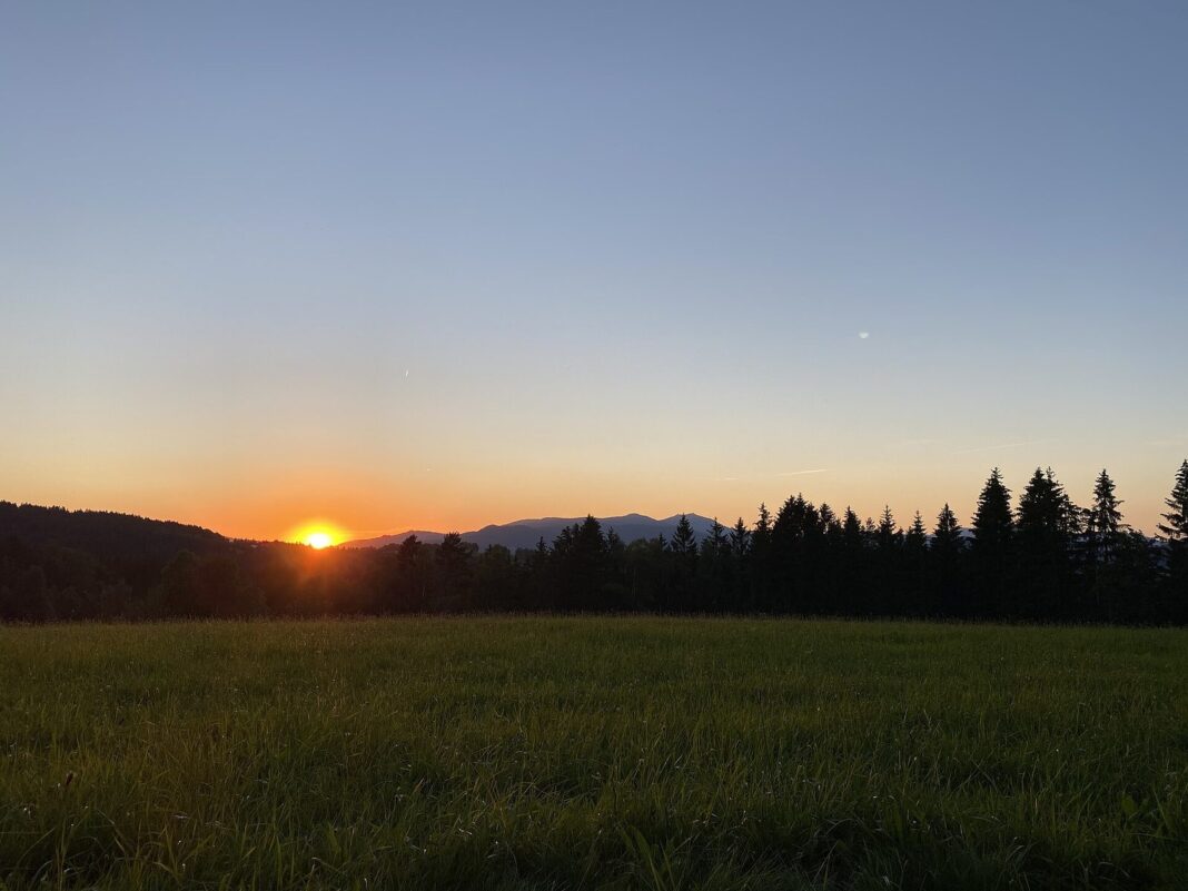 Frauenau (Landkreis Regen) - Wiese, Waldrand und Berge mit Sonnenuntergang (Frauenau)