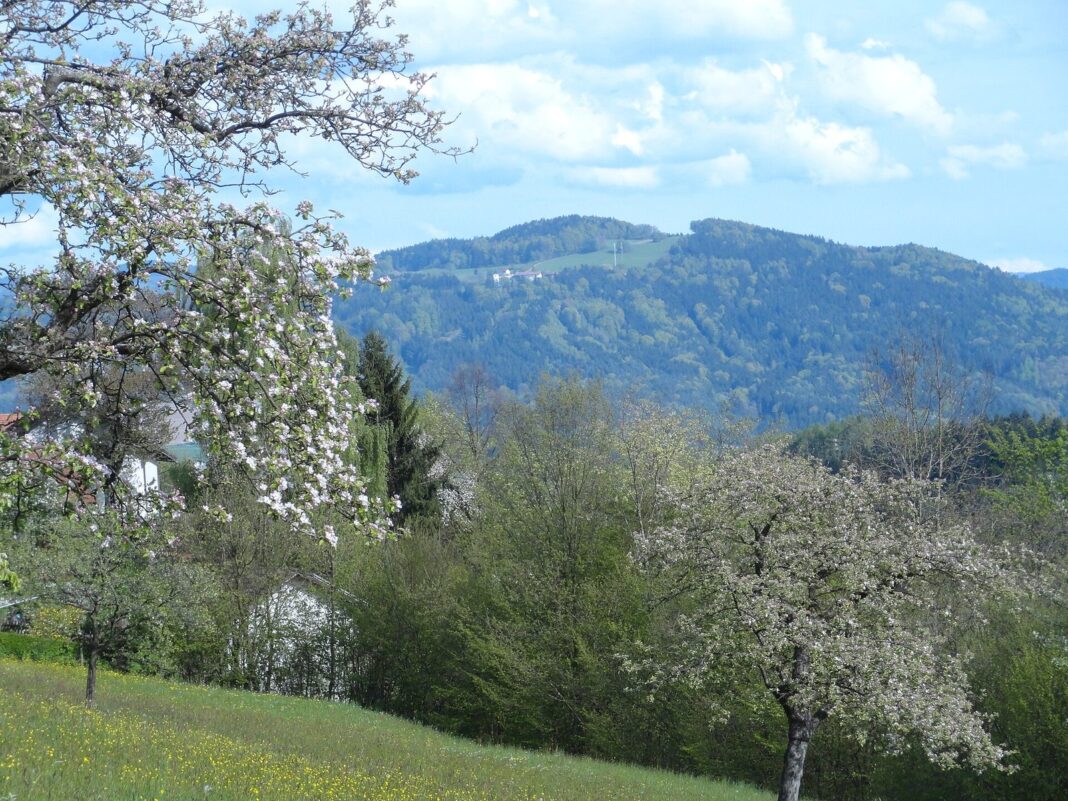 Schönstein zum Gallner (Stallwang)